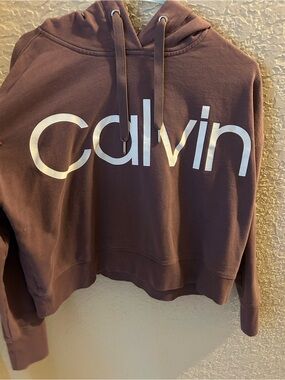 Calvin Klein Performance Dusty Mauve Pullover Hoodie